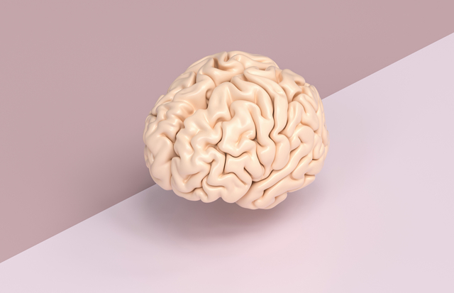 Потенциал мозга - советы врачей