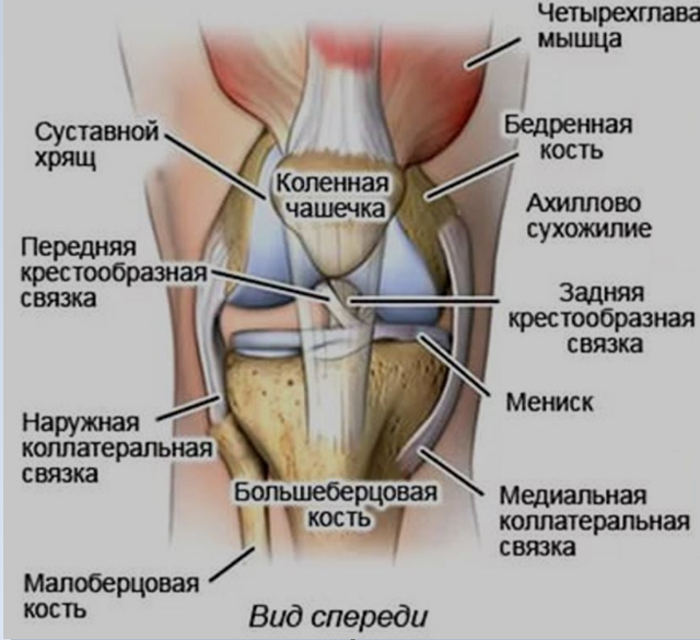 МРТ коленного сустава - советы врачей