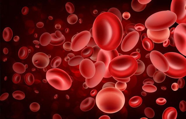 Анализы крови. Лимфоцитоз - советы врачей