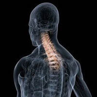 Заболевания спины и позвоночника - советы врачей