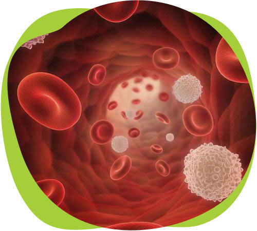 Клетки крови - советы врачей